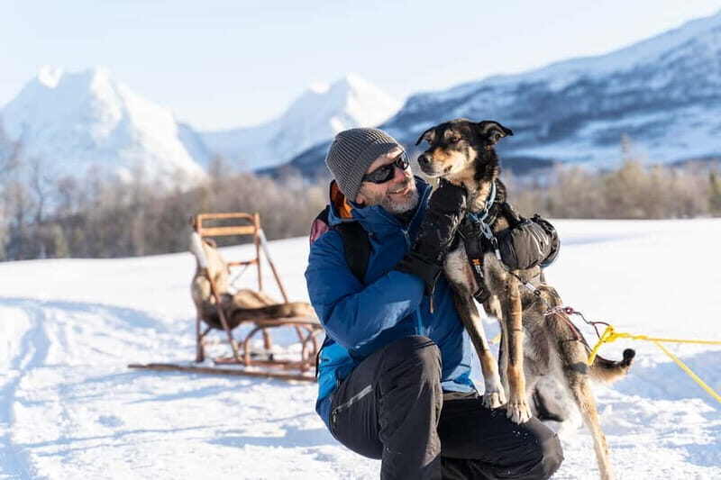 From Tromsø: Husky Experience with Self-Drive Dog Sled Ride - Key Things That Make This Husky Ride Worth Your Time