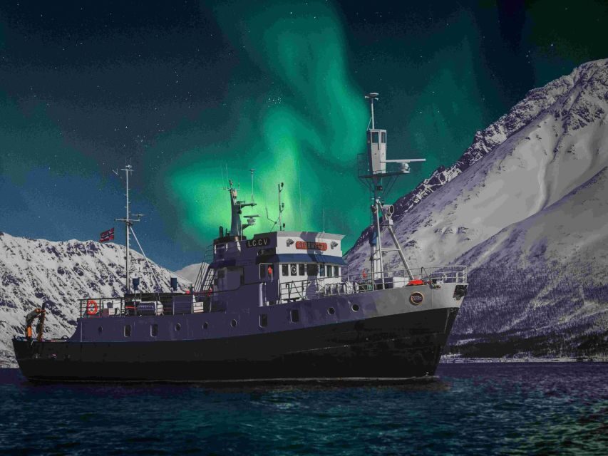 From Tromsø: Northern Lights Cruise on a Cozy Vintage Vessel - Key points you’ll care about