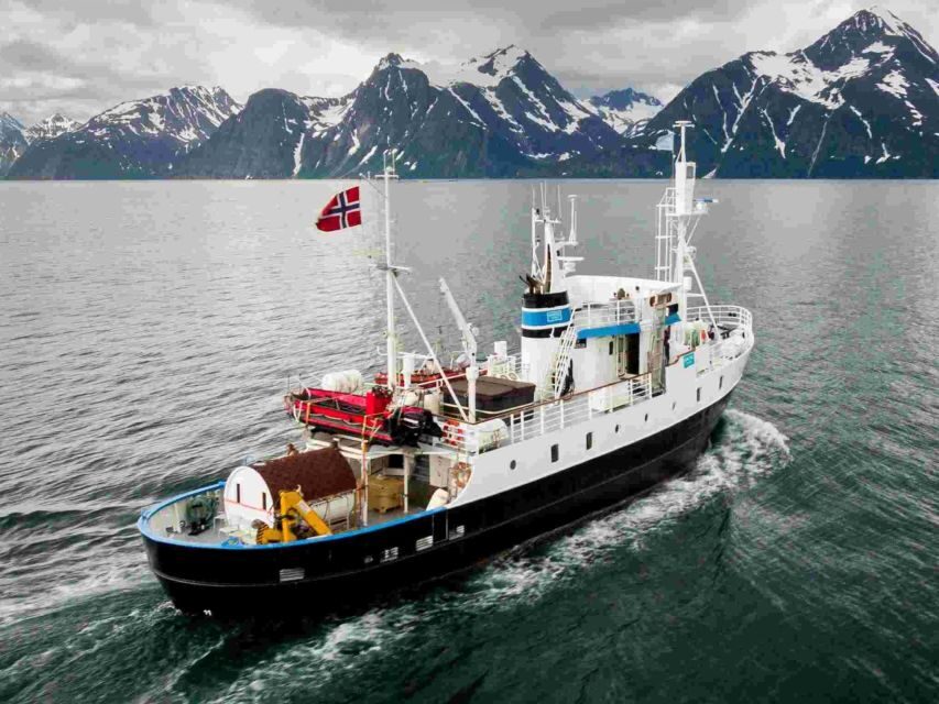 From Tromsø: Northern Lights Cruise on a Cozy Vintage Vessel - Boarding and first impressions: inside warmth versus deck time