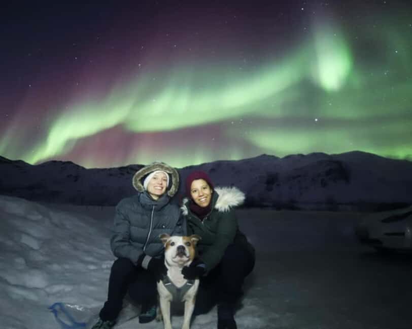 From Tromso: Northern Lights Photography Tour - Key Points Worth Booking For