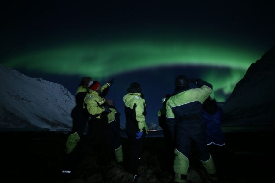 From Tromso: Northern Lights Photography Tour - Price in Context: What $187 Buys You in the Arctic