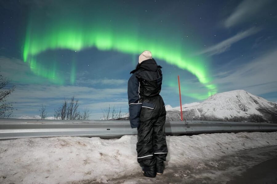 From Tromsø: Northern Lights Tour in Minibus with Photos - Key points I’d prioritize before you book