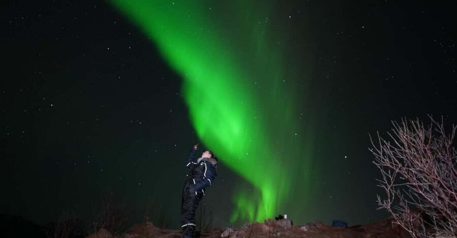 From Tromsø: Northern Lights Tour with Hot Drinks and Photos - Key points to know before you go