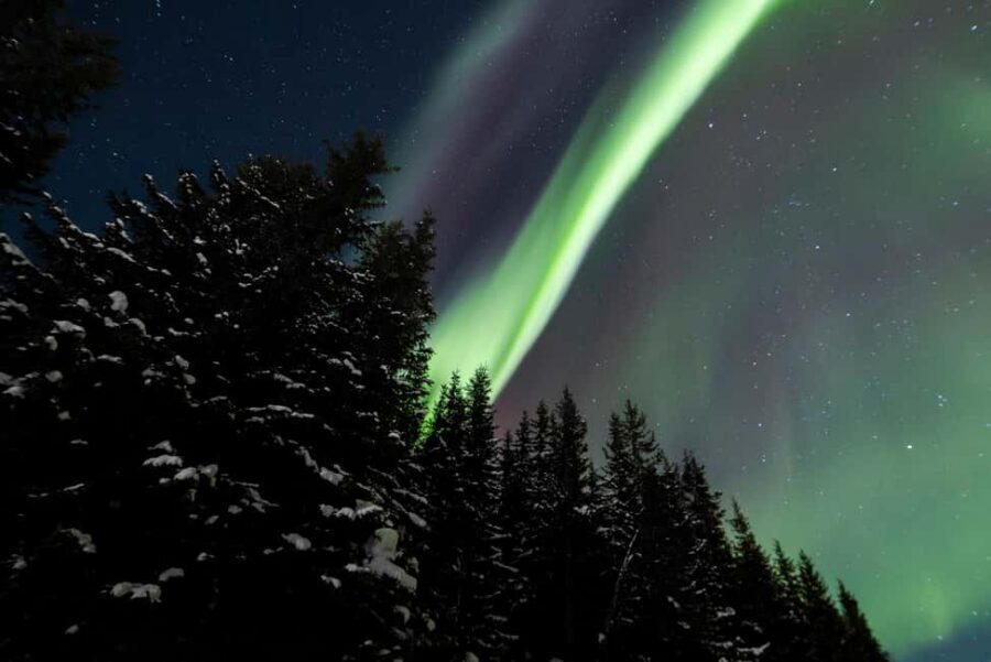 From Tromsø: Northern Lights Visit at Camp Tamok - Should you book Camp Tamok with Norwegian Travel?