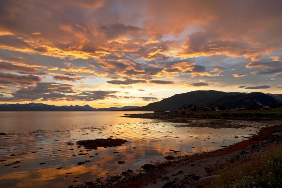 From Tromso: Norwegian Fjords Half-Day Tour - Why Kvaløya (Whale Island) is the smart half-day target