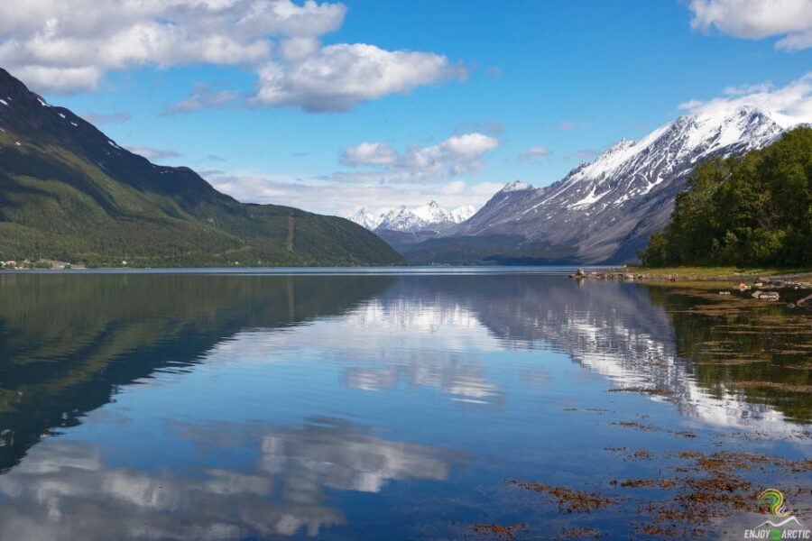 From Tromso: Norwegian Fjords Half-Day Tour - Fjord photo stops and professional portraits: how the tour handles pictures