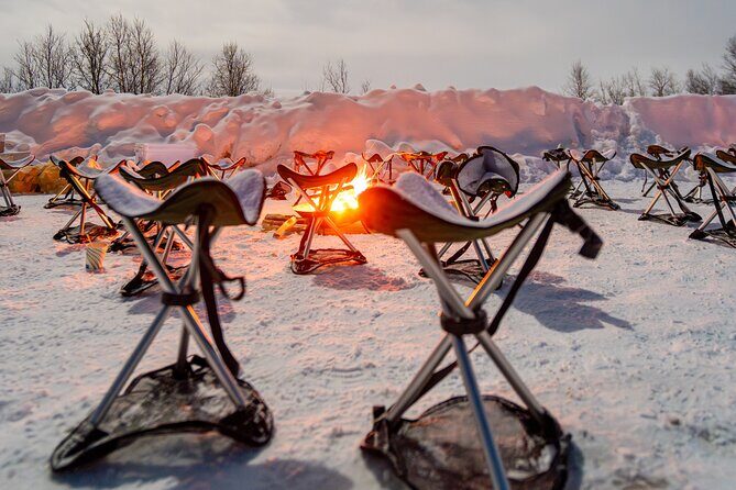 From Tromsø: Official Northern lights Safari - Guides Like Claudia, Antonia, and David: Why Their Role Matters