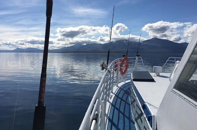 From Tromsø: Polar Fishing Adventure - Wildlife spotting without the pressure