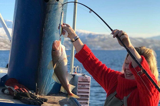 From Tromsø: Polar Fishing Adventure - Price and value: is $139.87 a fair deal?
