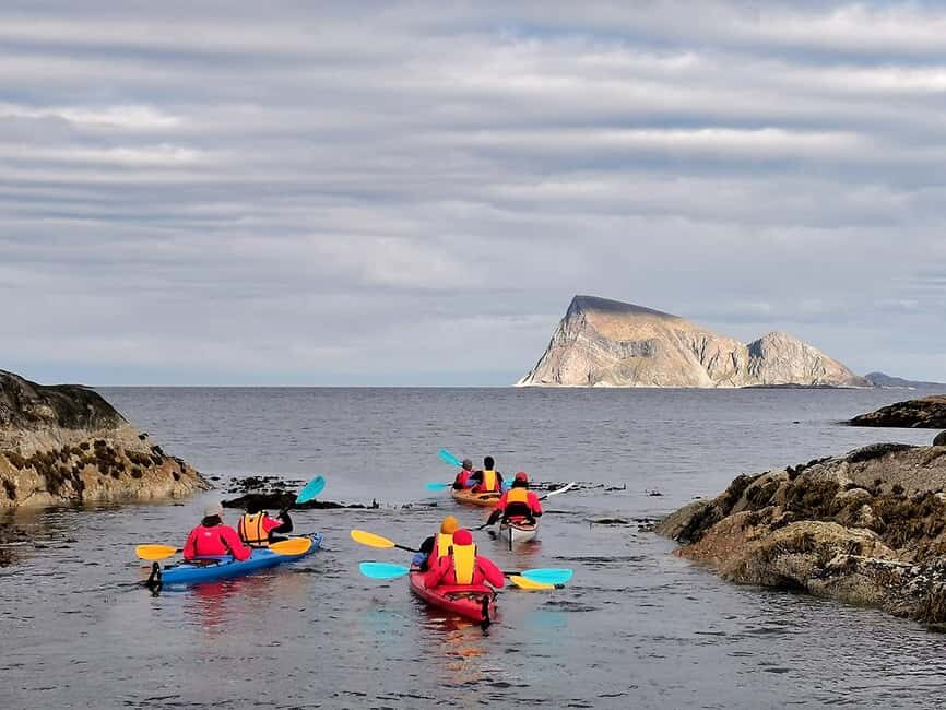 From Tromsø: Sea Kayaking Tour at Sommarøy - Wildlife time: seeing sea eagles and birds close without rushing it