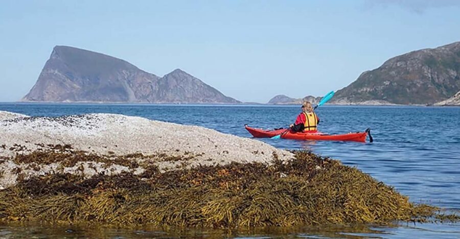 From Tromsø: Sea Kayaking Tour at Sommarøy - Price and value: is $162 per person a good deal?