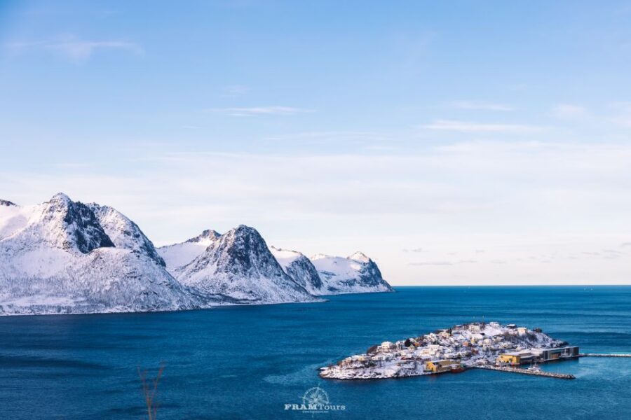 From Tromsø: Senja Discovery Arctic Day Trip with Lunch - Wildlife chances that feel realistic: how to watch without going stir-crazy