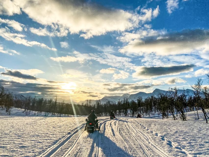 From Tromsø: Snowmobile Safari in the Lyngen Alps - Campfire Lunch and Hot Drinks: The Warm Reset After the Ride