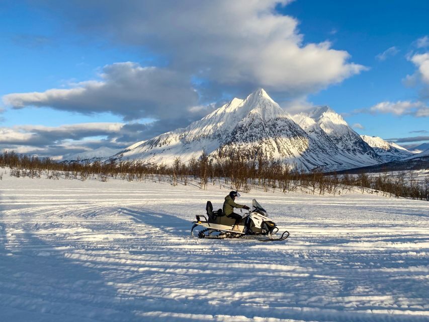From Tromsø: Snowmobile Safari in the Lyngen Alps - Who This Tour Is Best For (and Who Should Skip It)