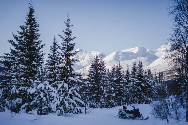 From Tromsø: Snowmobiling at Camp Tamok & Snow Park Visit - Huskies and reindeer: iconic North animals, but with clear limits