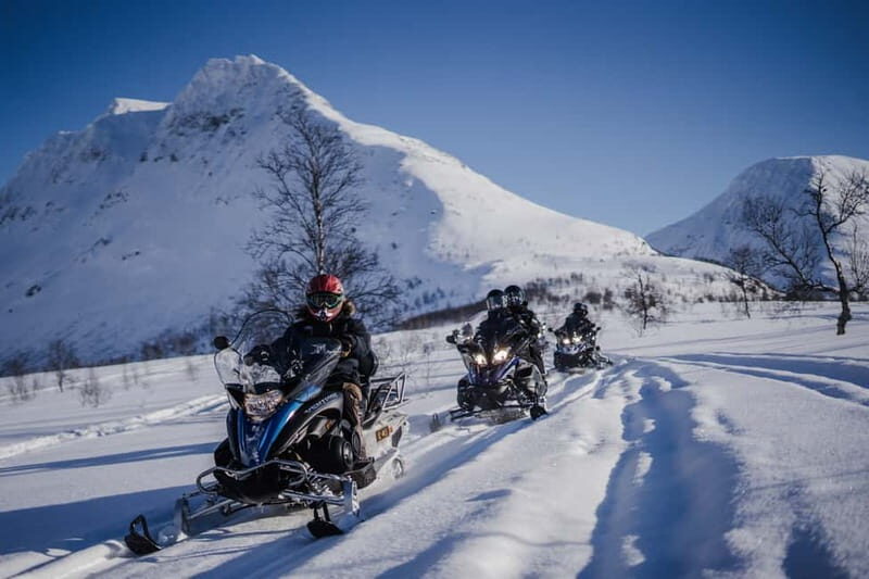 From Tromsø: Snowmobiling at Camp Tamok & Snow Park Visit - Tromsø Ice Domes Snow Park: snow and ice art, plus a chill-your-toes plan