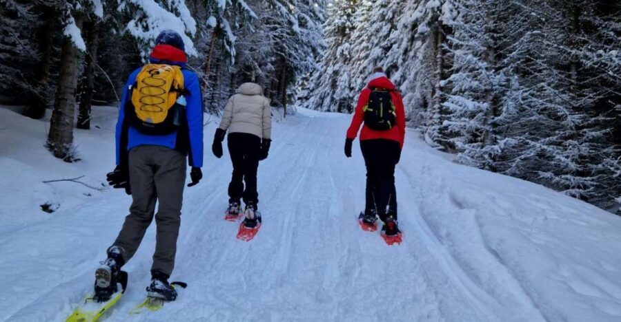 From Tromsø: Snowshoe Hike in the Arctic - Snowshoeing near Tromsø: why this 4-hour Arctic hike is such good value