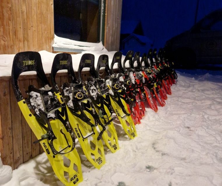 From Tromsø: Snowshoe Hike in the Arctic - Views from stops: fjords, mountains, and why pauses matter