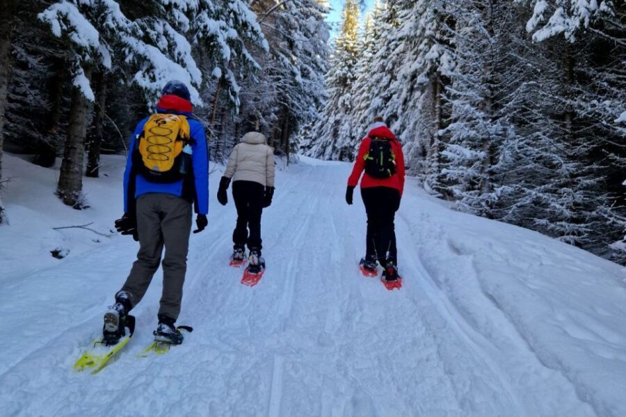 From Tromsø: Snowshoe Hike in the Arctic - Meeting at Clarion Hotel The Edge: how the start actually works