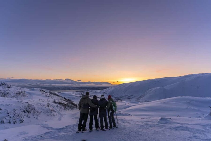 From Tromsø: Snowshoe Hike with Local Guides - Key Points Worth Knowing Before You Go