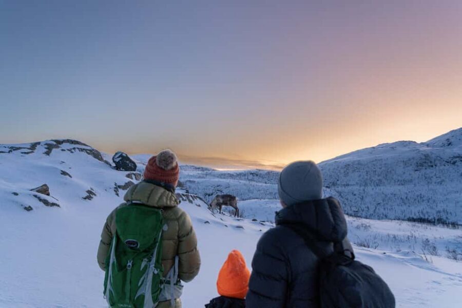 From Tromsø: Snowshoe Hike with Local Guides - Setting Out From Tromsø: Meeting at Scandic The Dock