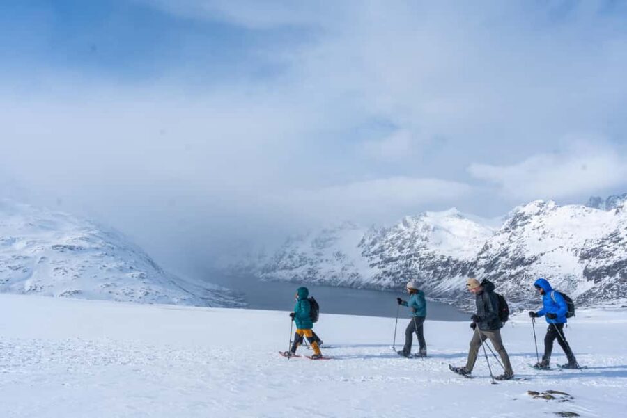 From Tromsø: Snowshoe Hike with Local Guides - Lunch With Hot Drinks: A Real Break, Not Just a Snack