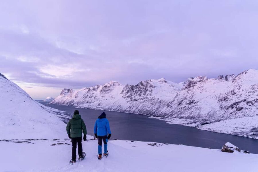 From Tromsø: Snowshoe Hike with Local Guides - Who This Tour Suits Best