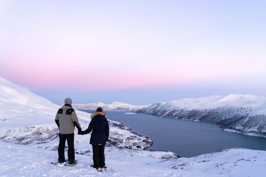 From Tromsø: Snowshoe Hike with Local Guides - The Van Ride and the Kvaløya Photo Stop