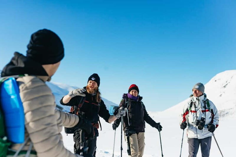 From Tromsø: Snowshoeing Hike with Picnic Lunch and Photos - Key Highlights That Make This Tour Worth It