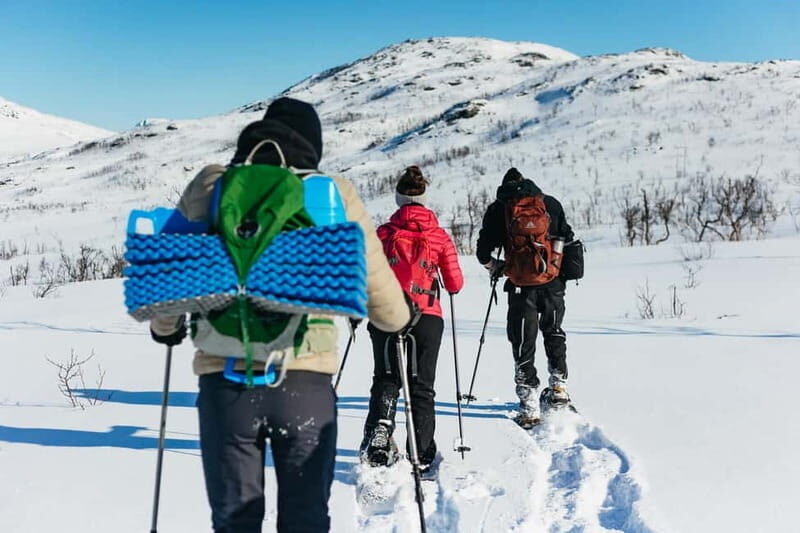 From Tromsø: Snowshoeing Hike with Picnic Lunch and Photos - The Snowshoe Hike Up: Effort Level and Wildlife Moments