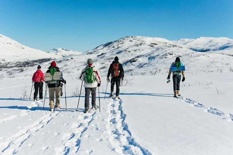 From Tromsø: Snowshoeing Hike with Picnic Lunch and Photos - Summit Picnic Lunch: Warm Drinks, Sandwiches, and a View Pause