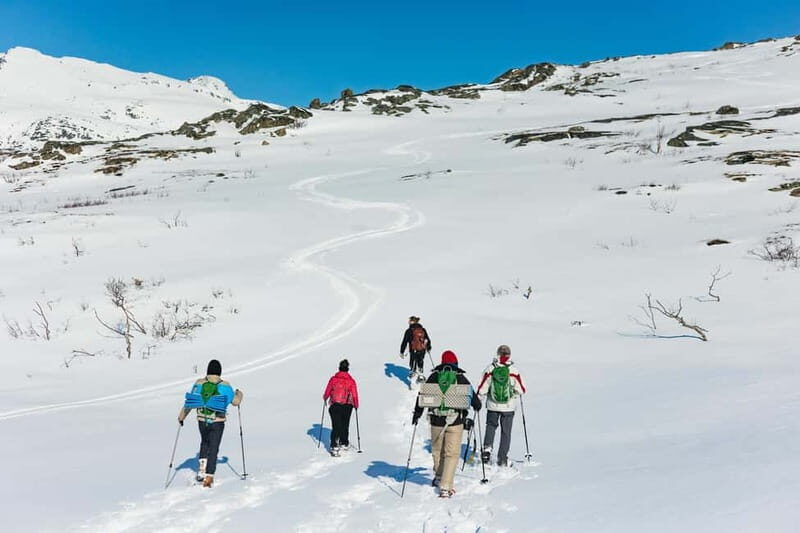 From Tromsø: Snowshoeing Hike with Picnic Lunch and Photos - What to Bring for Tromsø Cold: Layers and Footing