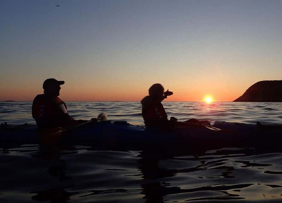 From Tromsø: Sommarøy Midnight Sun Sea Kayaking Tour - Wildlife spotting in the Kvaløya waters: chances go up when you paddle quietly