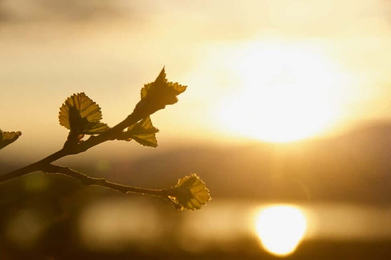 From Tromsø: Sommarøy Midnight Sun Sea Kayaking Tour - Price and value (around $173): what you’re paying for