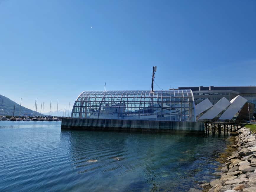 From Tromsø: Tromsø Highlights & History Tour With E-Bike - Telegrafbukta: scenic views where the ride really feels worth it