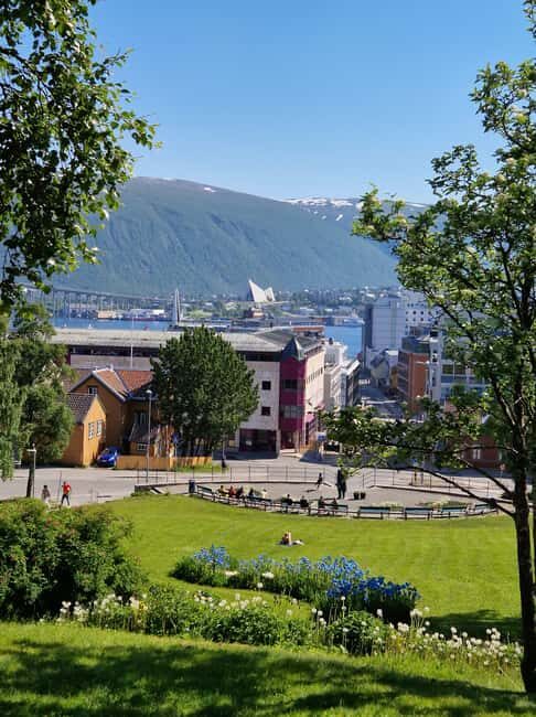 From Tromsø: Tromsø Highlights & History Tour With E-Bike - Arctic–Alpine Botanic Garden: the one stop where you actually visit
