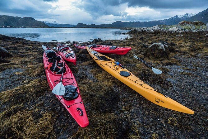 Full Day Combo Kayak and Rappel - Northern Explorer - Rappelling the cliffs: safe coaching with real adrenaline
