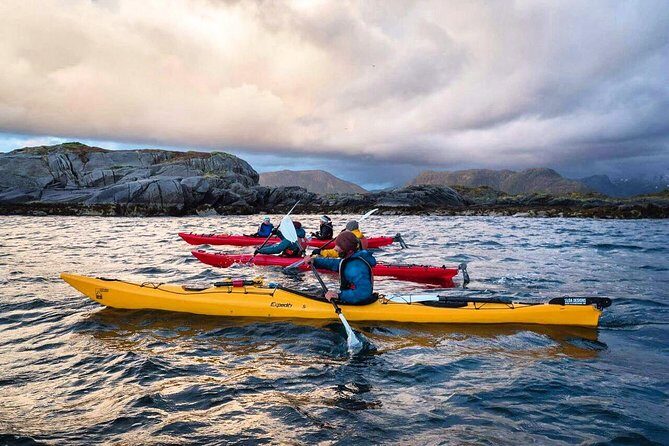 Full Day Kayak-Northern Explorer - Wildlife spotting: eagles, birds, and the sealion wildcard