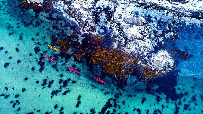 Full Day Kayak-Northern Explorer - The secluded island picnic: where the day slows down on purpose