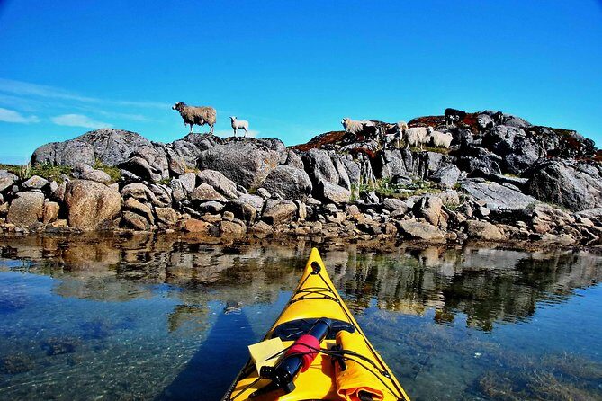 Full Day Kayak-Northern Explorer - Booking timing: when to reserve and what confirmation looks like