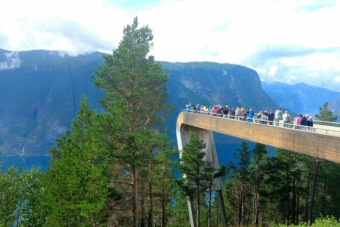 Full Day Private Tour to Flam with Pick Up - Myrdal Changeover and Voss: Switching From Fjord Drama to Town Life