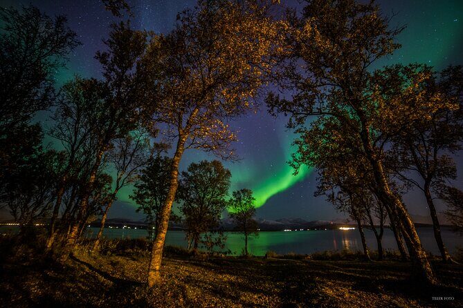Full Night Magic of the Northern Lights in Tromso - Key things that make this Tromsø tour worth your time