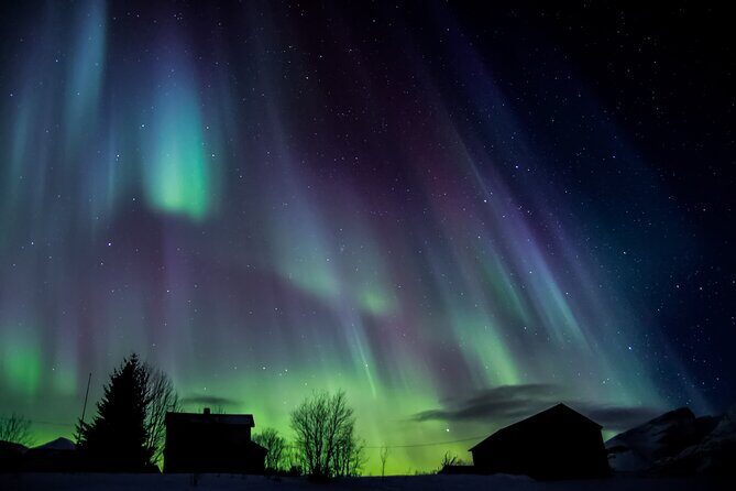 Full Night Magic of the Northern Lights in Tromso - When the guide finds a good night: bonfire, snacks, and warm breaks