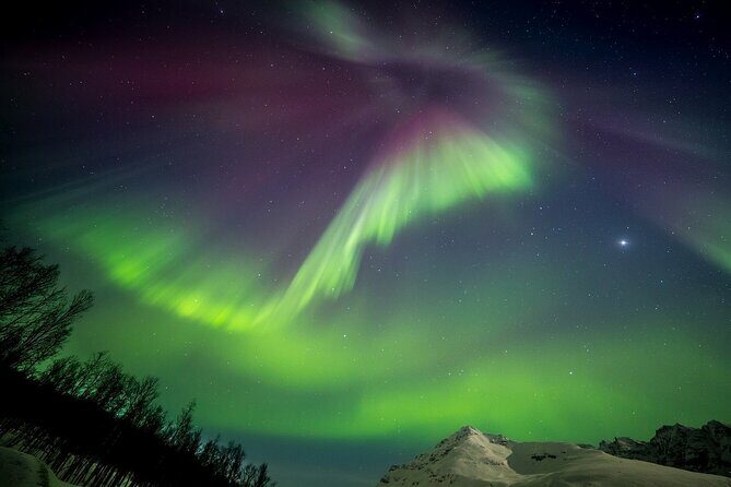 Full Night Magic of the Northern Lights in Tromso - Cold-weather reality: dress like you mean it