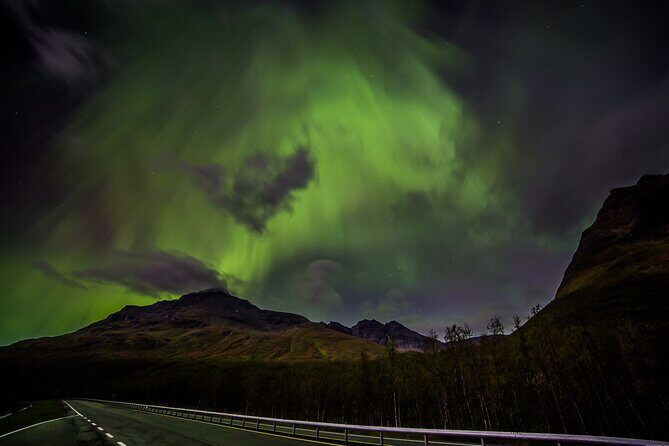 Full Night Magic of the Northern Lights in Tromso - Small-group minibus comfort: what 16 people changes