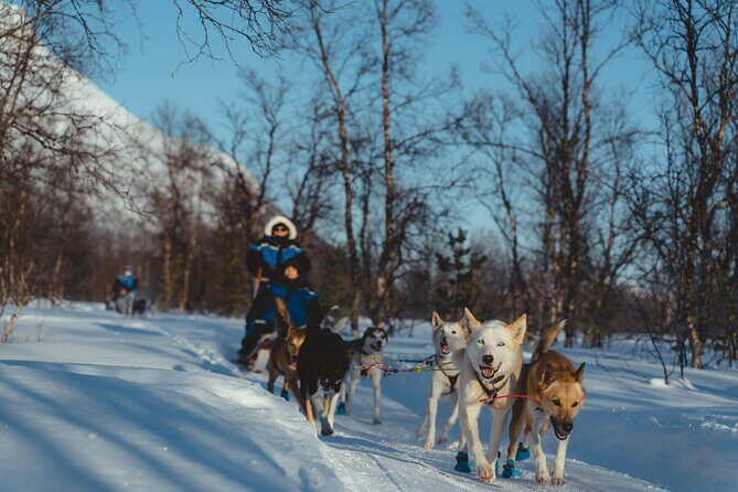 Fun & Easy Dog Sledding Adventure from Tromsø - Early Bird Tour - Staying warm: the thermal suit system plus smart layering