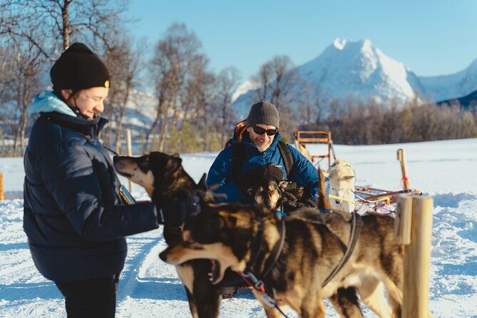 Fun & Easy Dog Sledding Adventure from Tromsø - Noon Tour - Self-Drive Sledding: What You Actually Do