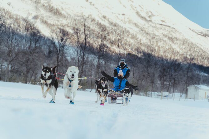 Fun & Easy Dog Sledding Adventure from Tromsø - Noon Tour - Included Gear: What Keeps You Comfortable for 4.5 Hours