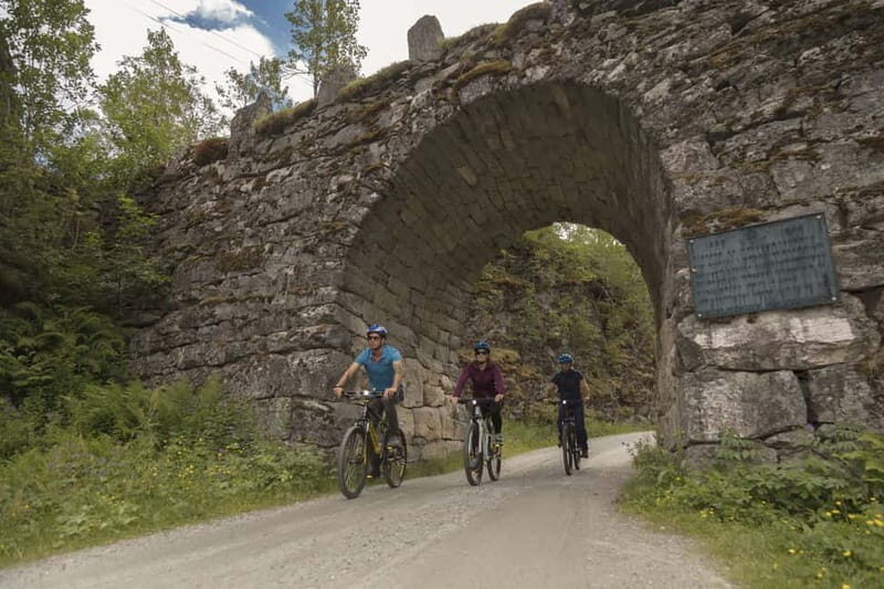 Geiranger Fjord: Downhill Self-Guided Bike Tour - Geiranger Fjord downhill bike: the short version of what you’re actually doing