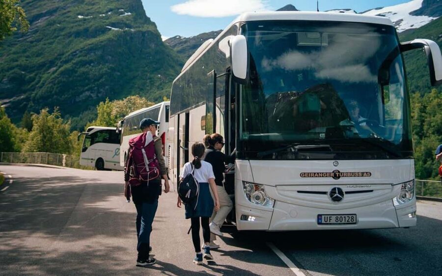 Geiranger: Panorama Bus Tours 1,5/2hr (Highlights viewpoint) - The 1.5-Hour Option: Flydalsjuvet + Eaglebend Viewpoint